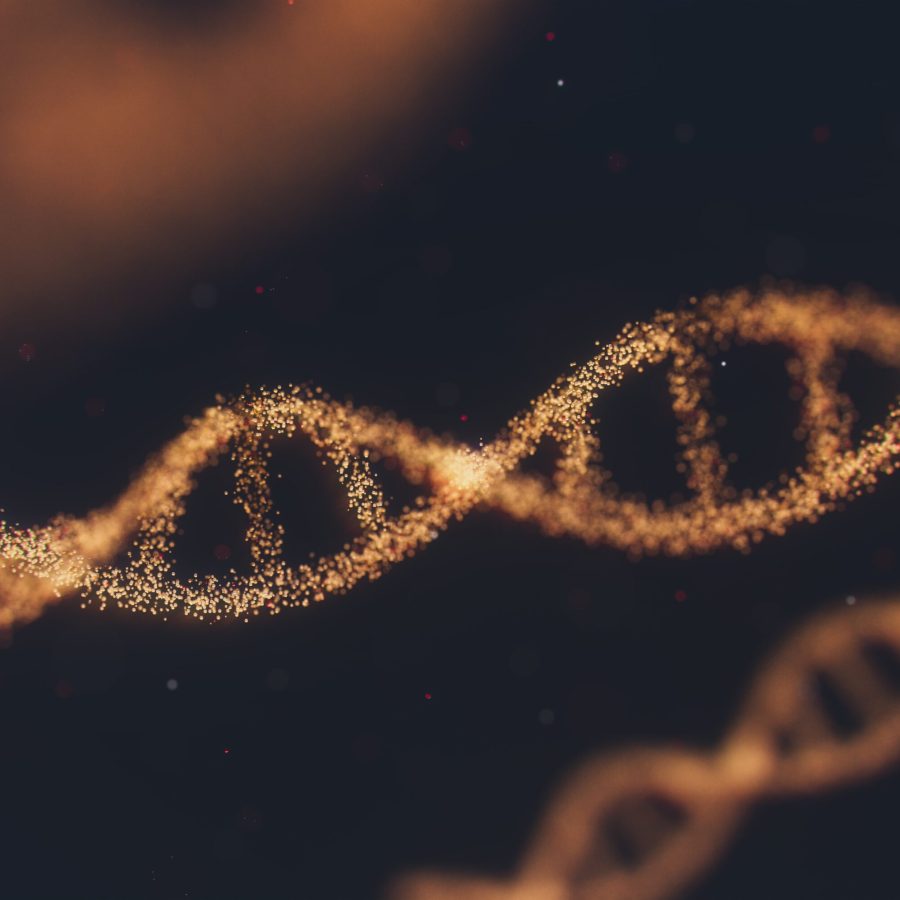strand of DNA