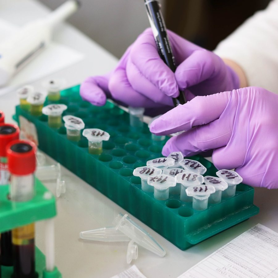 laboratory researcher labels test tubes